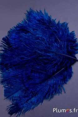 Struzzo barbules - 8-15 cm - rosso